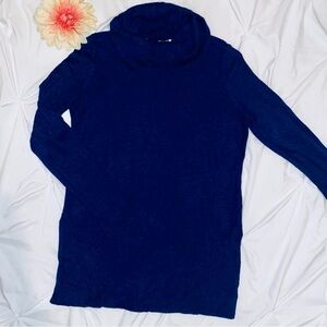 Adrienne Vittadini Blue Turtleneck Sweater Slim Fit